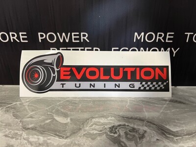 Evolution Sticker- Medium