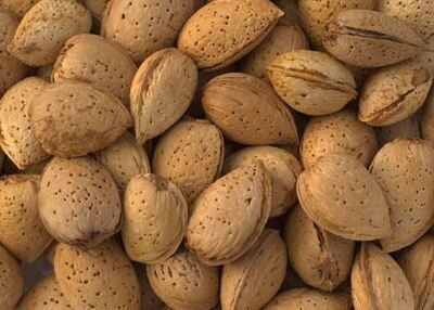 Kaghzi Almond