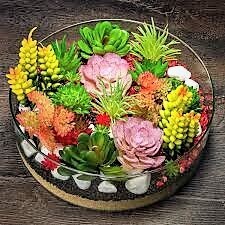 Succulent Terrarium Gardens