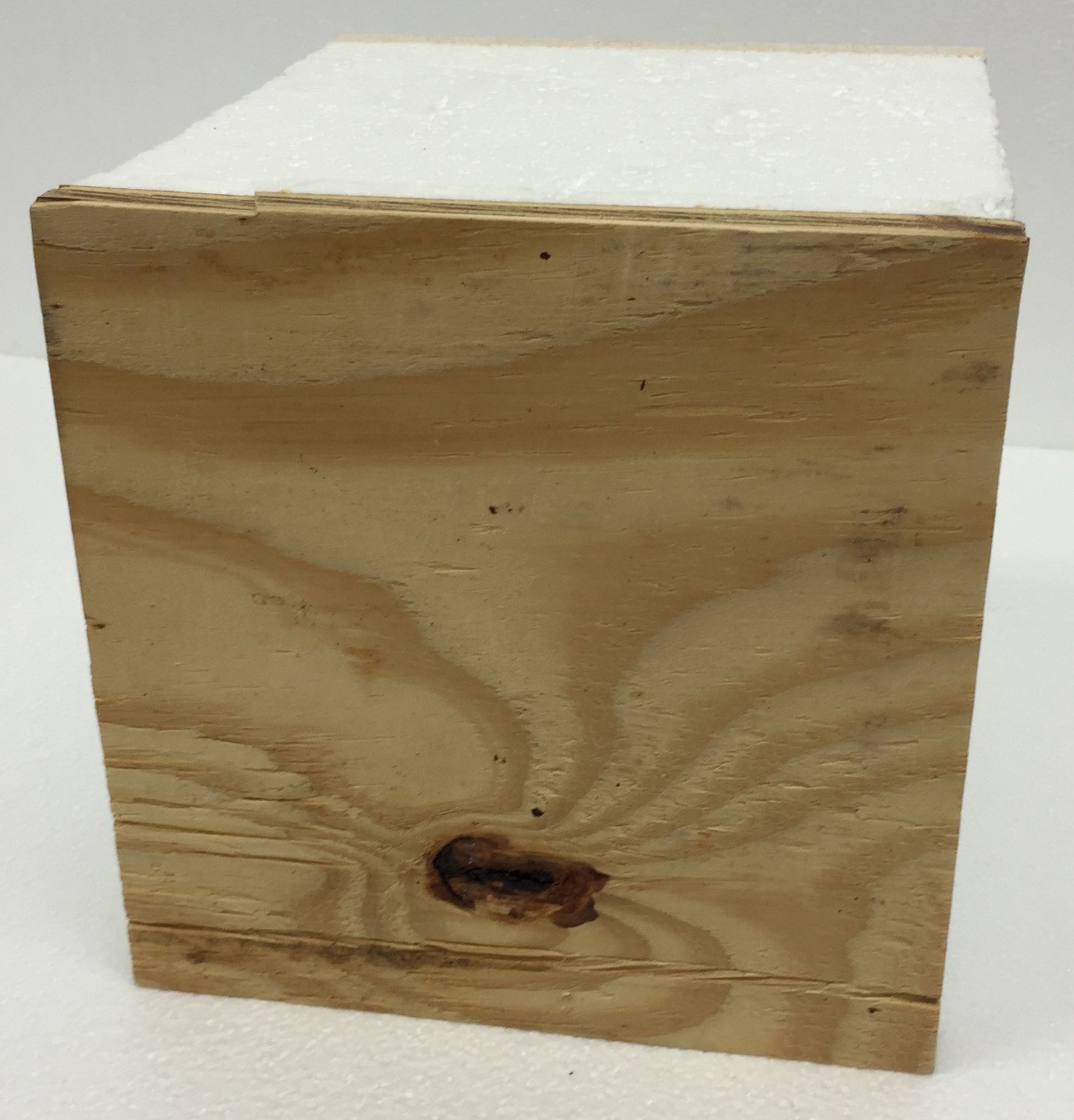 Plywood SIP panel - Sample