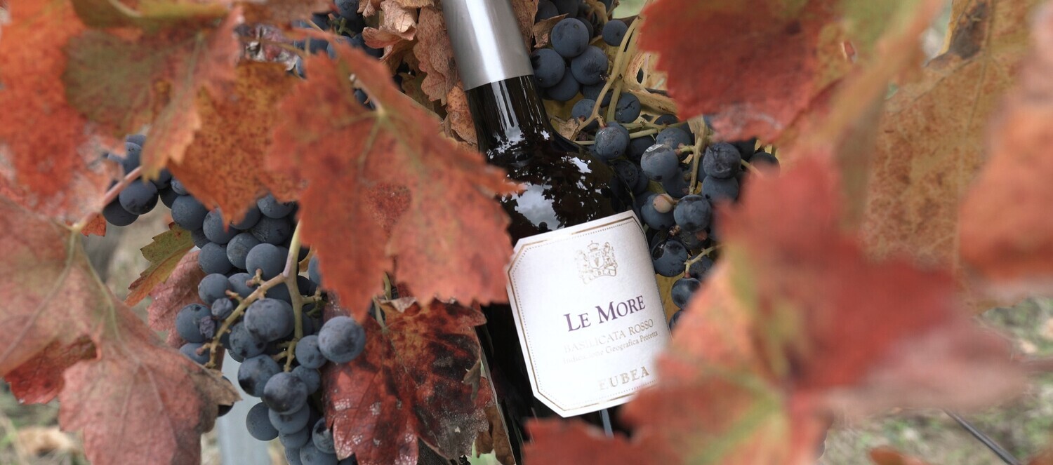 LE MORE shiraz IGT, bt 0,75L