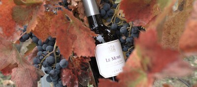 LE MORE shiraz IGT, bt 0,75L