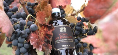 COVO DEI BRIGANTI Aglianico del Vulture DOC 2016, bt 0,75L