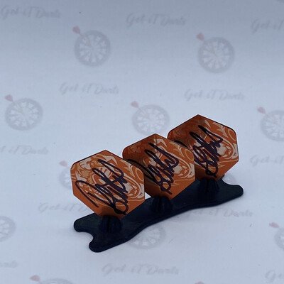 Flights Signed By Raymond Van Barneveld  Metallic Tiger