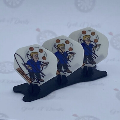 Signed Flights Raymond Van Barneveld Balls