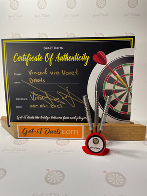 Vincent van der Voort Prototype Darts