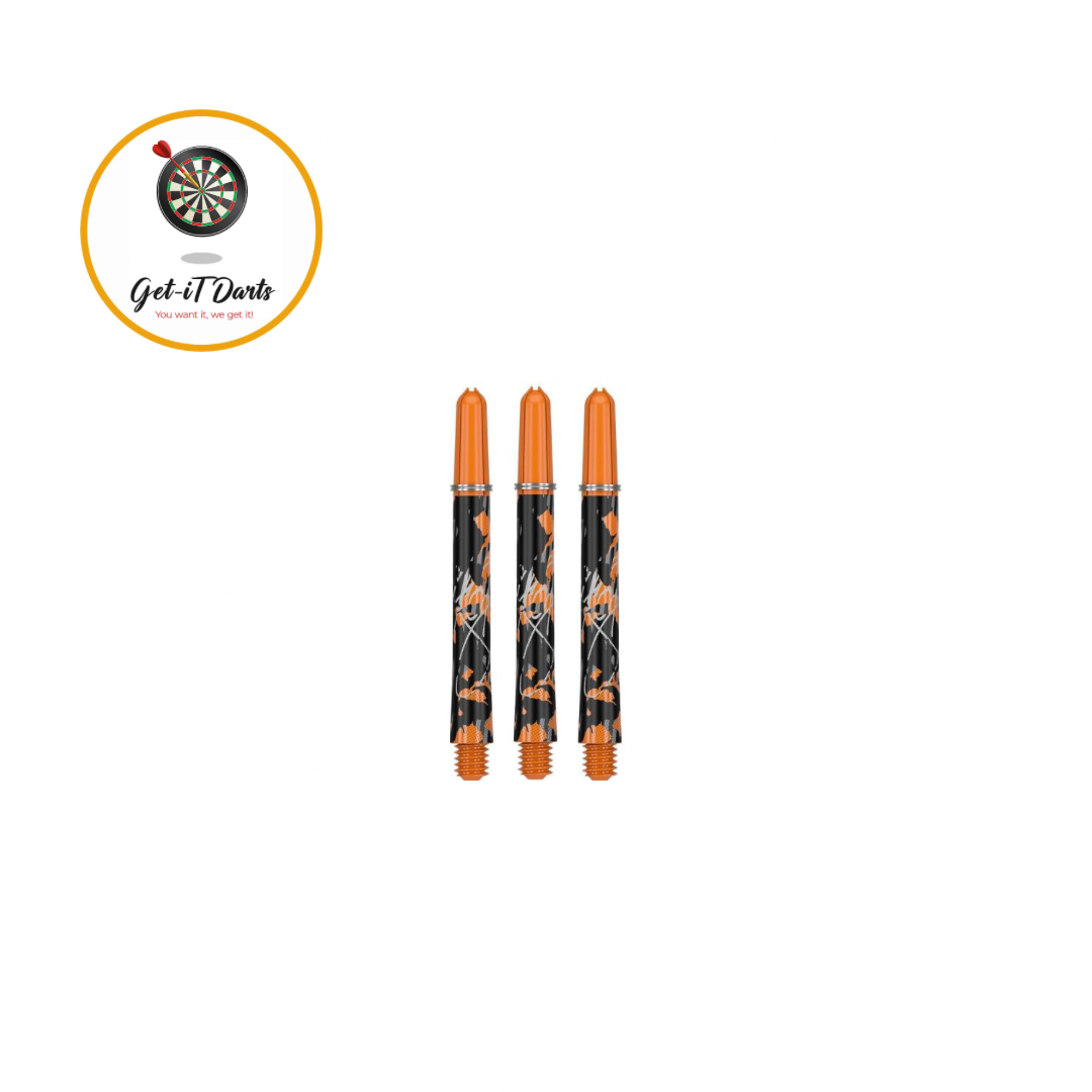 Target shafts as used by Raymond van Barneveld short