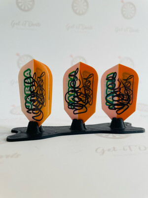 Jamie Caven Slim Flights signed 
