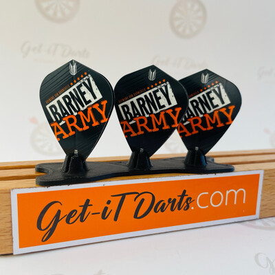 Raymond van Barneveld Kite Flights Barney Army