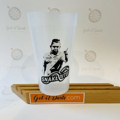 PDC Party Cup Peter Wright