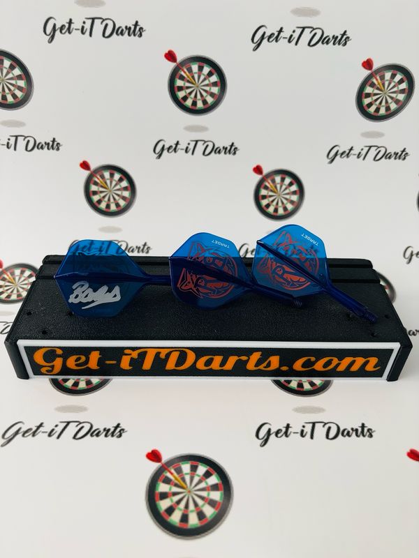 Raymond Van Barneveld limited darts set-up
