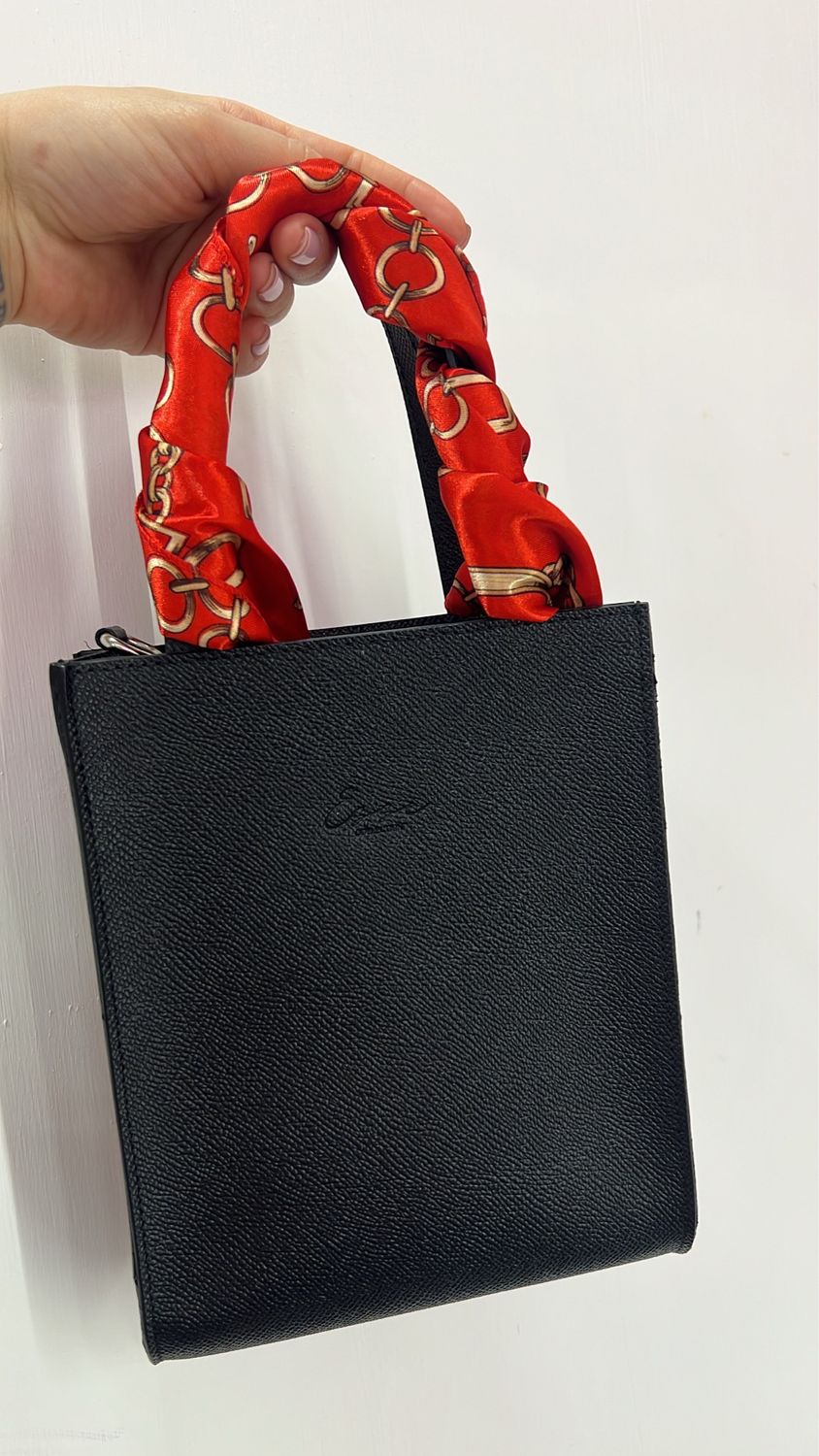 Borsa renesme