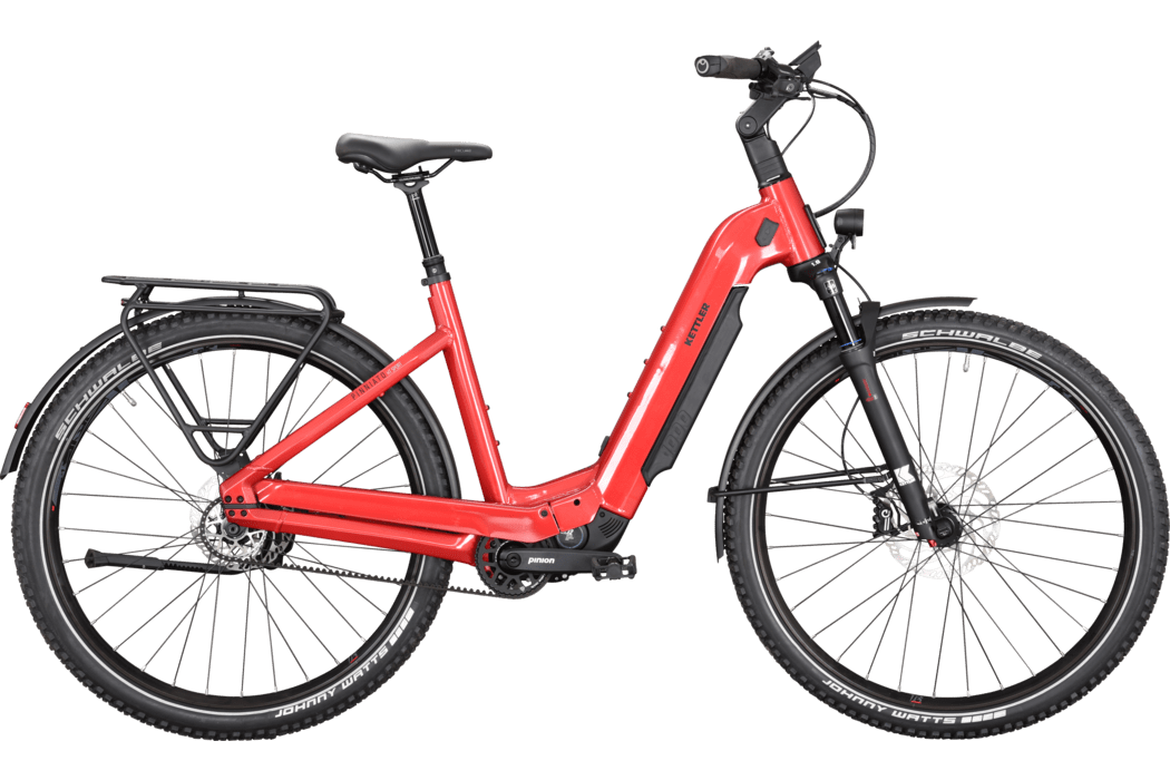 Gebrauchtes Kettler Pinniato HS Sport