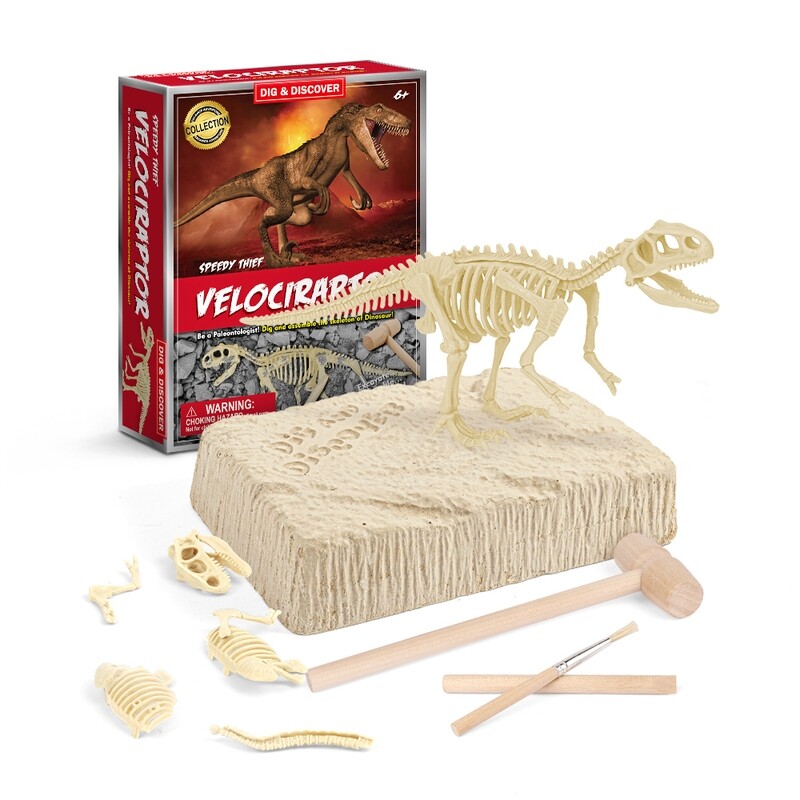 Velociraptor Dig Kits