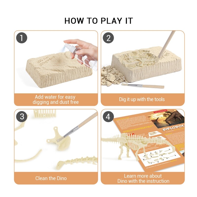 Diplodocus Dig Kits