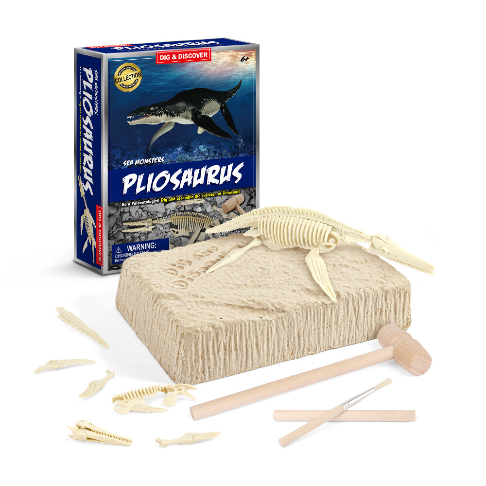 Pliosaurus Dig Kits