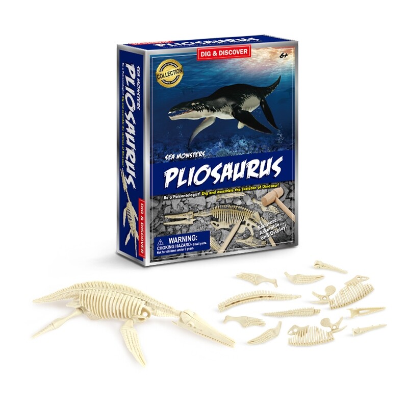 Pliosaurus Dig Kits