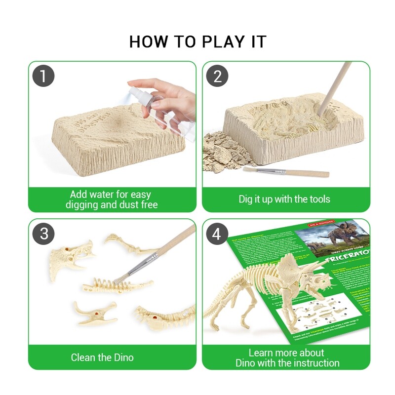 Triceratops Dig Kits