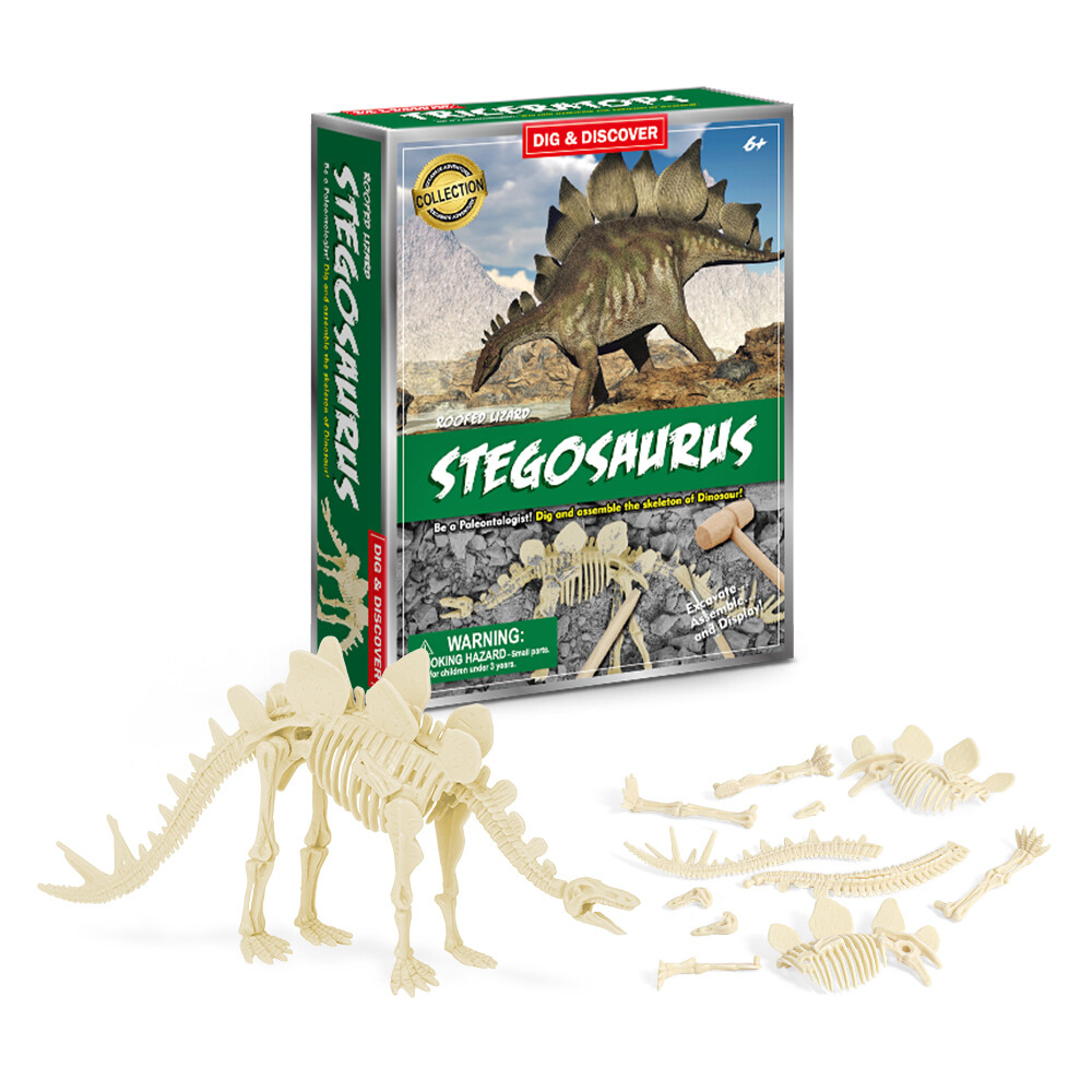 Stegosaurus Dig Kits