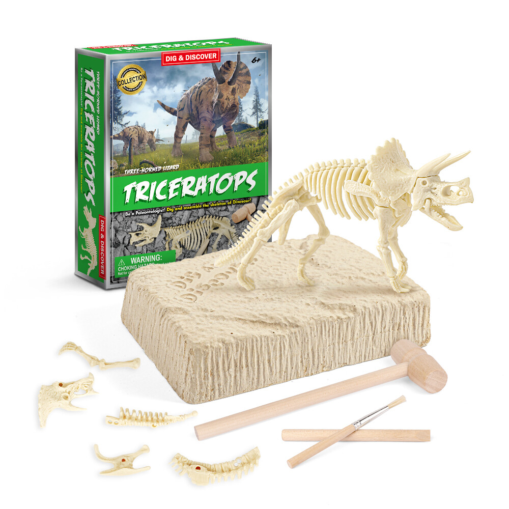Triceratops Dig Kits