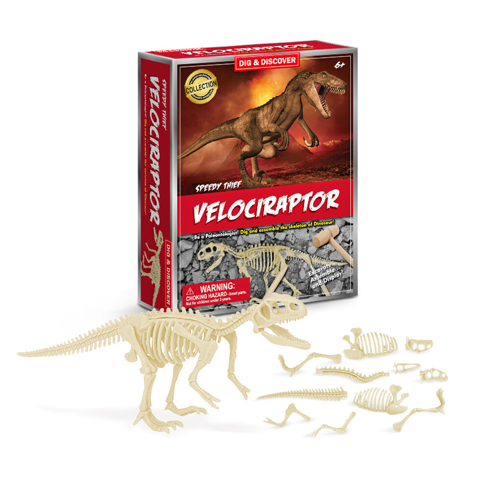 Velociraptor Dig Kits