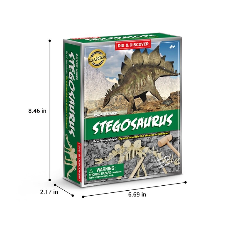 Stegosaurus Dig Kits