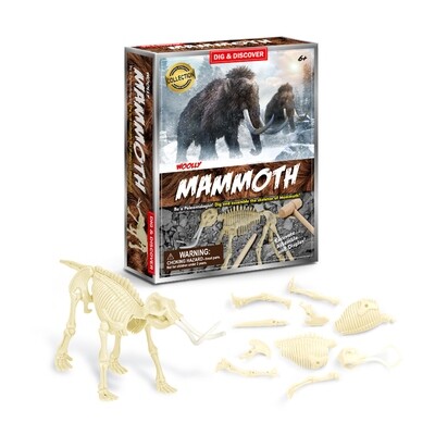 Mammoth Dig Kits