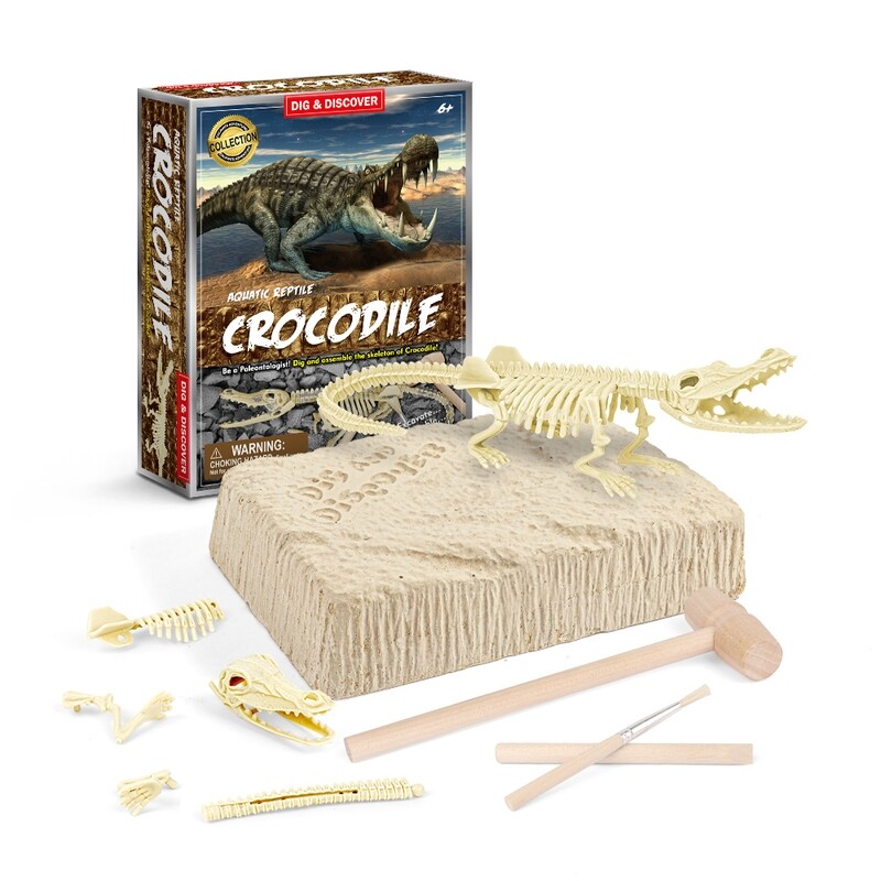 Crocodile Dig Kits