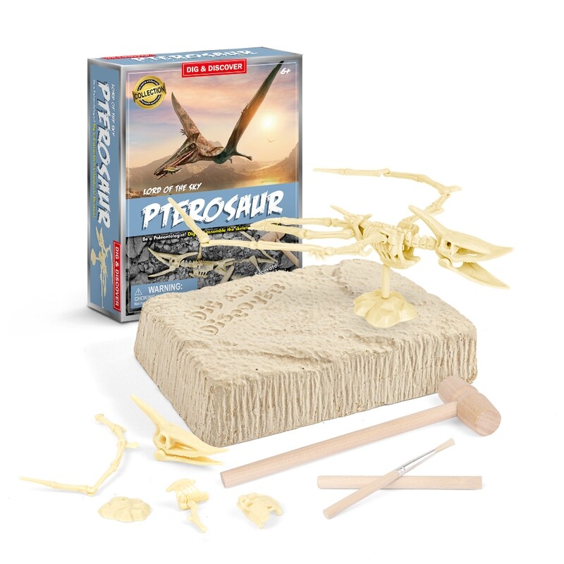 Pterosaur Dig Kits