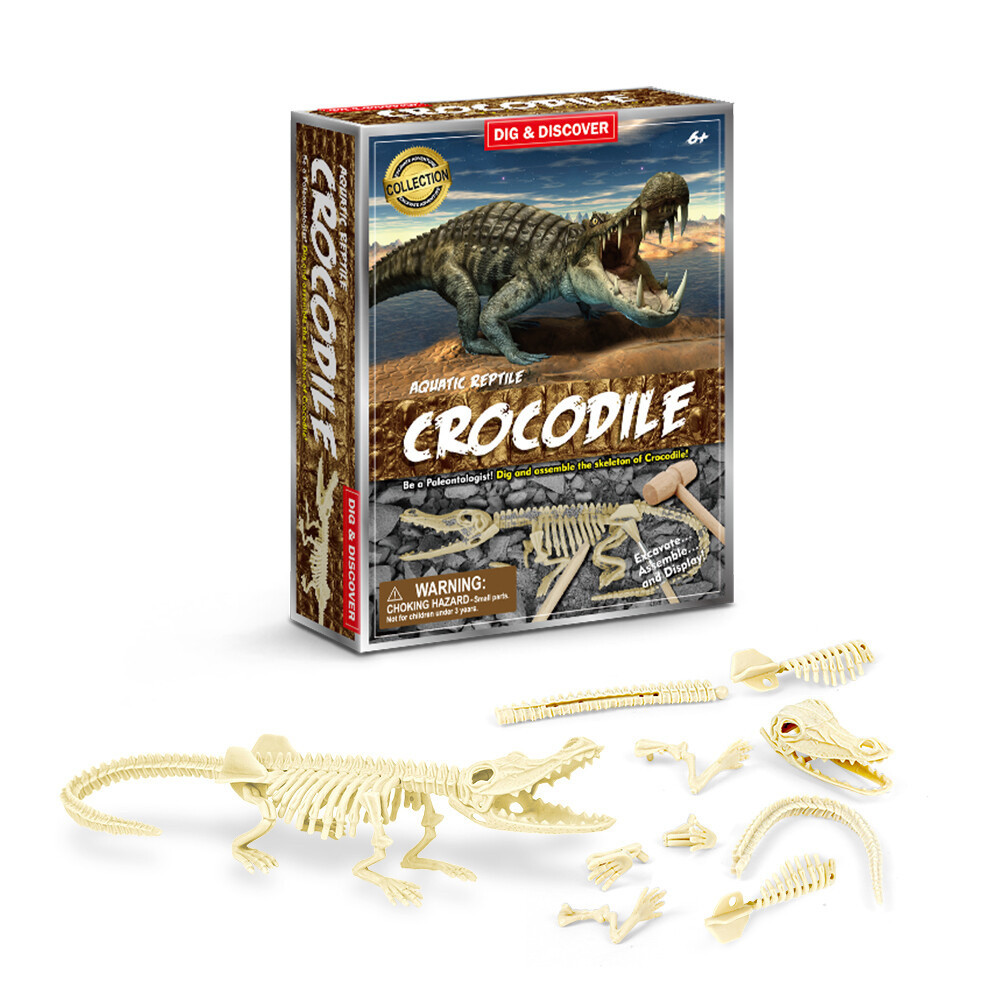 Crocodile Dig Kits