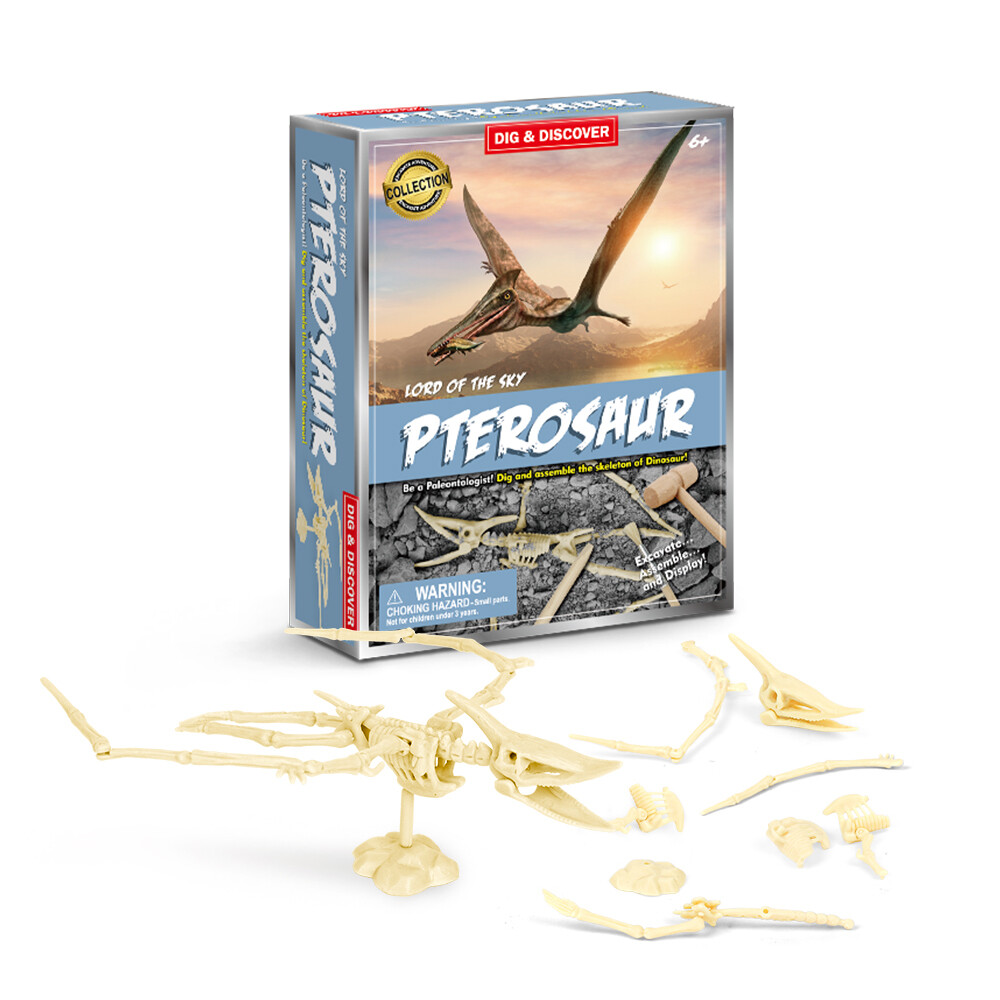 Pterosaur Dig Kits
