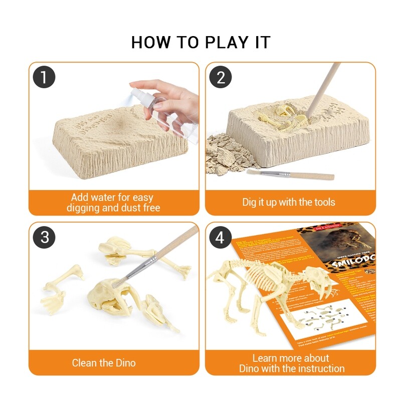 Saber-Toothed Tiger Dig Kits