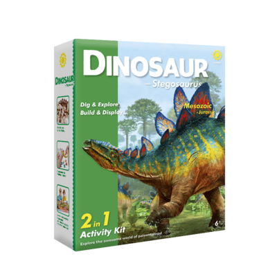 Dig & Explore! Dinosaur(Stegosaurus)