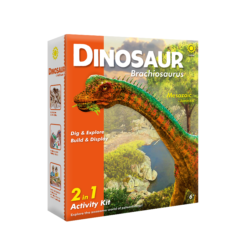 Dig & Explore! Dinosaur(Brachiosaurus)