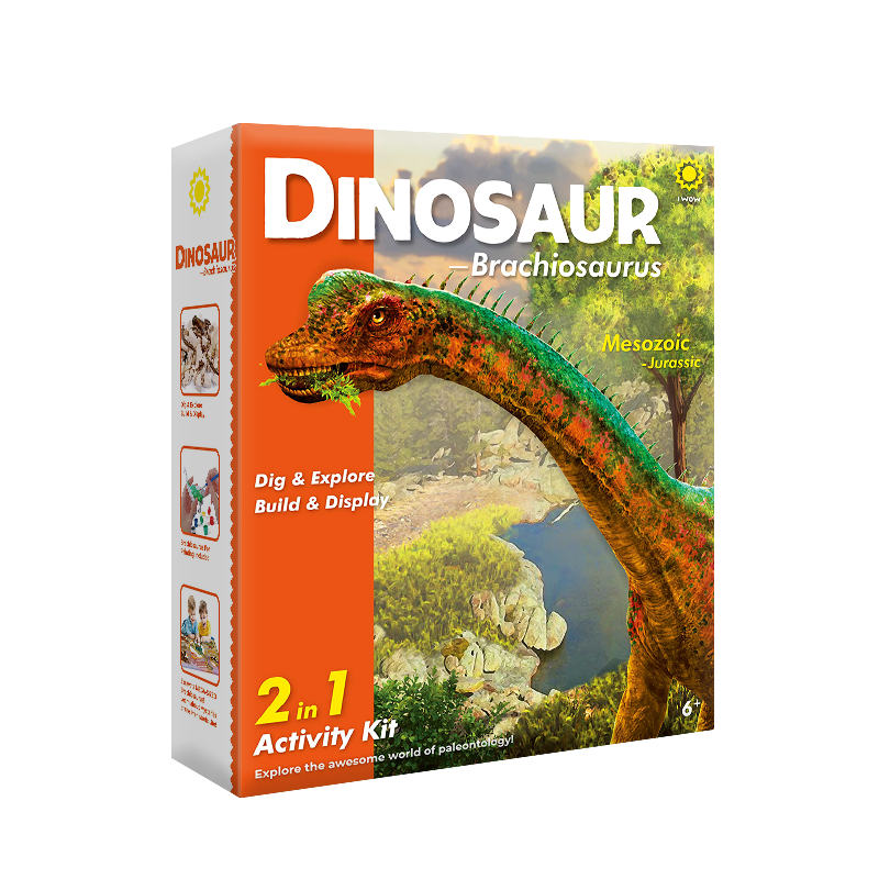 Dig &amp; Explore! Dinosaur(Brachiosaurus)