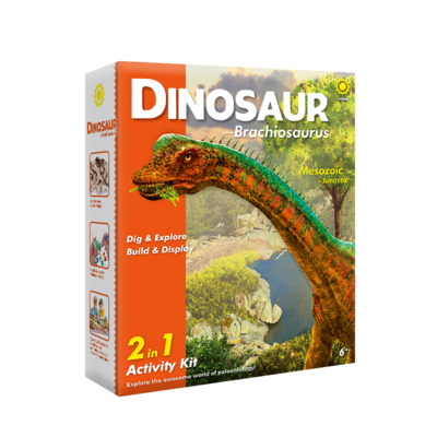 Dig & Explore! Dinosaur(Brachiosaurus)