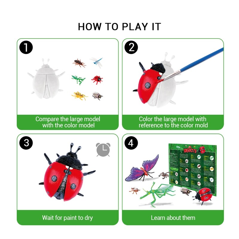 Paint Your Own! Insects