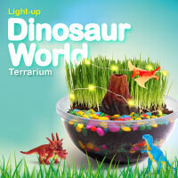 Dino World Terrarium