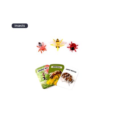 iCANbe! Insects Explorer Kit