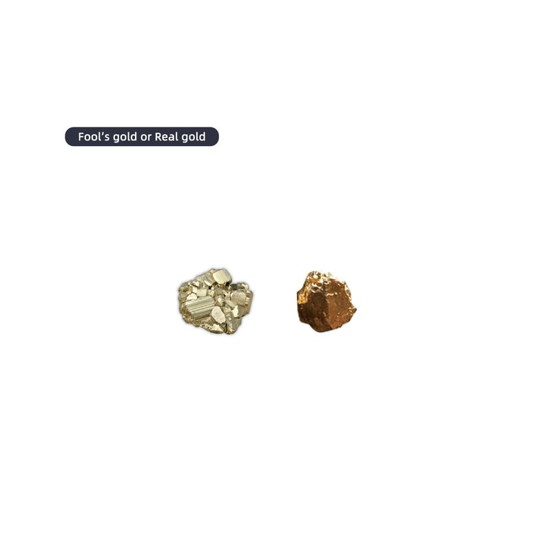 iCANbe! Gold Panning Kit