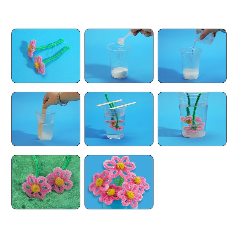 Crystal Growing Terrarium Kit
