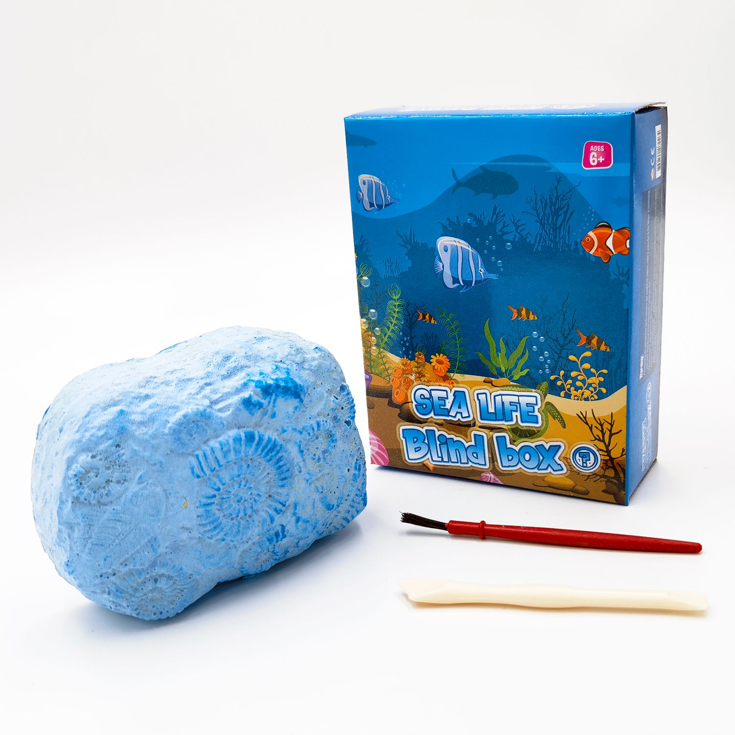 Archaeology of Marine Animals