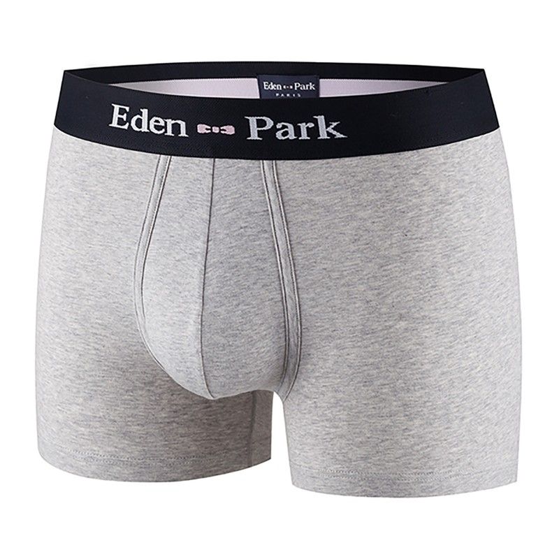 Boxer GRIS