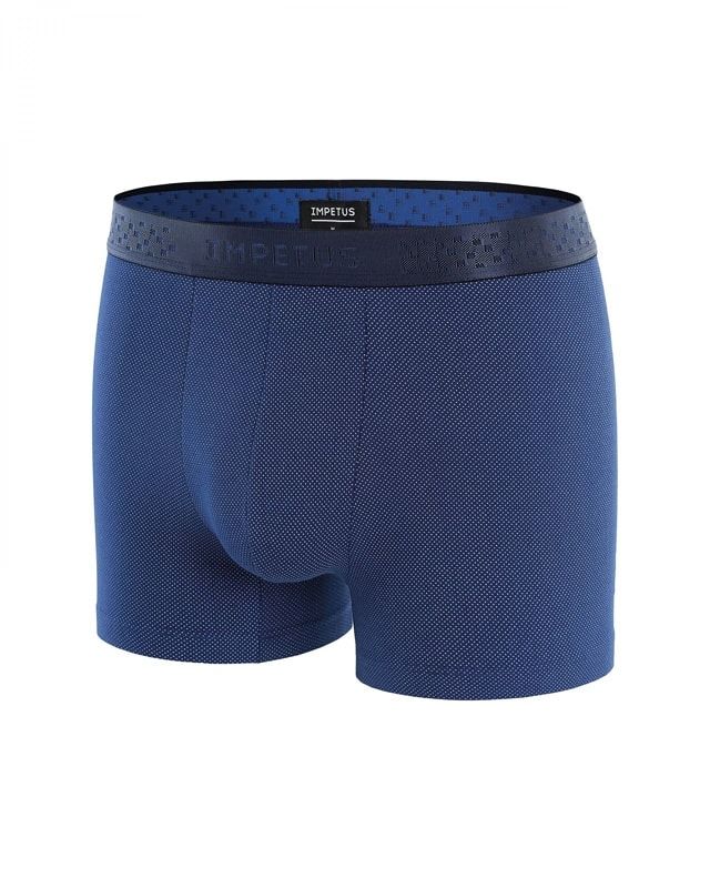 Boxer BLEU/BLANC