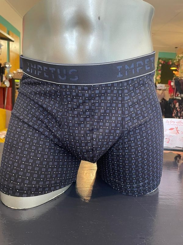Boxer BLEU MOTIFS