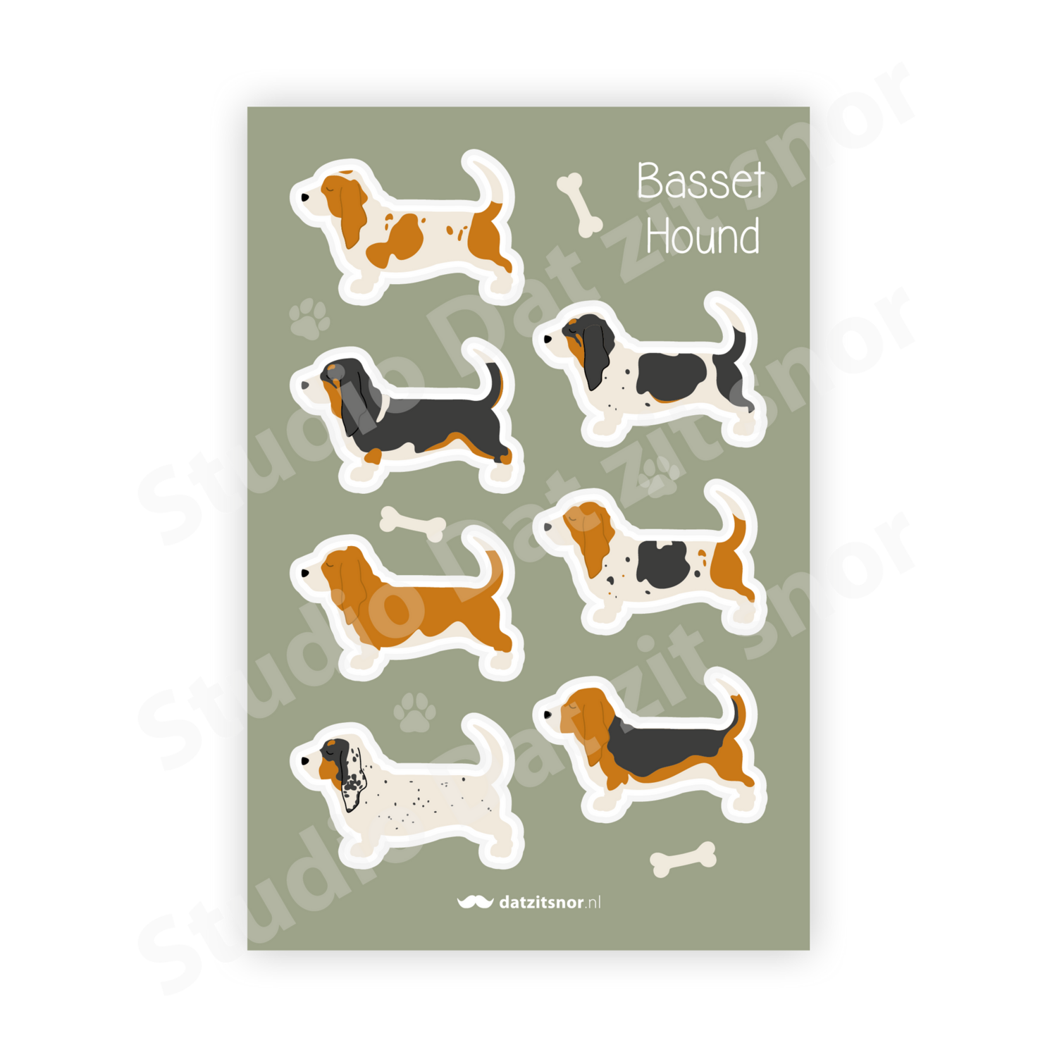 Stickervel | Basset Hound Kleuren