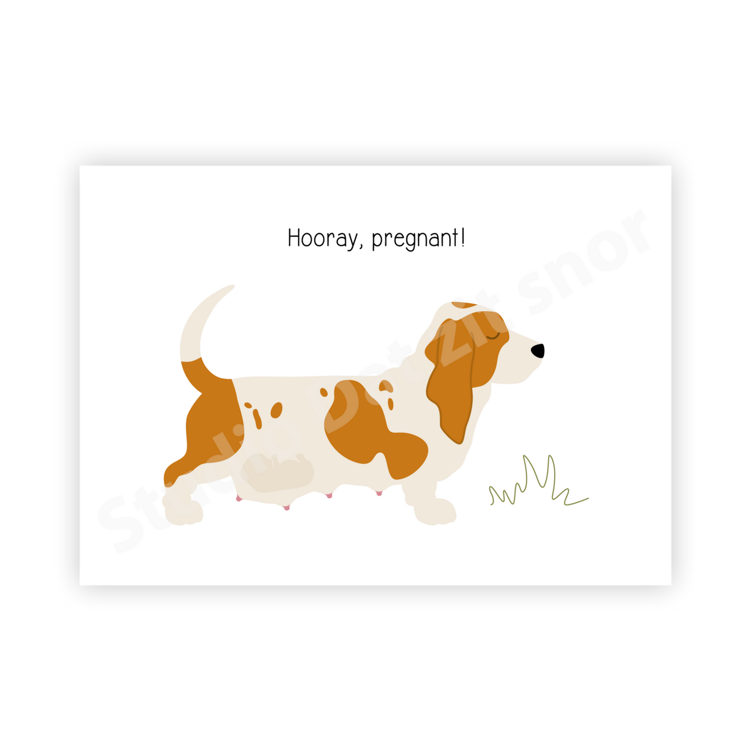 Postcard | Basset Hound Hooray, pregnant!
