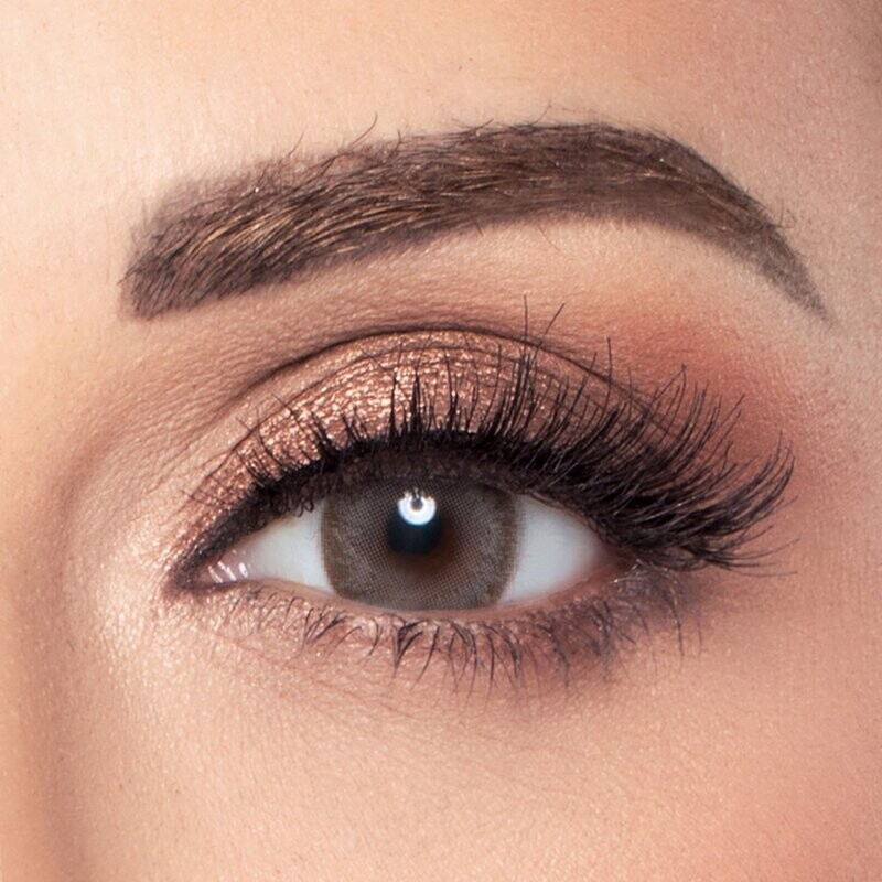 Amara Contact Lenses - Dark Sepia