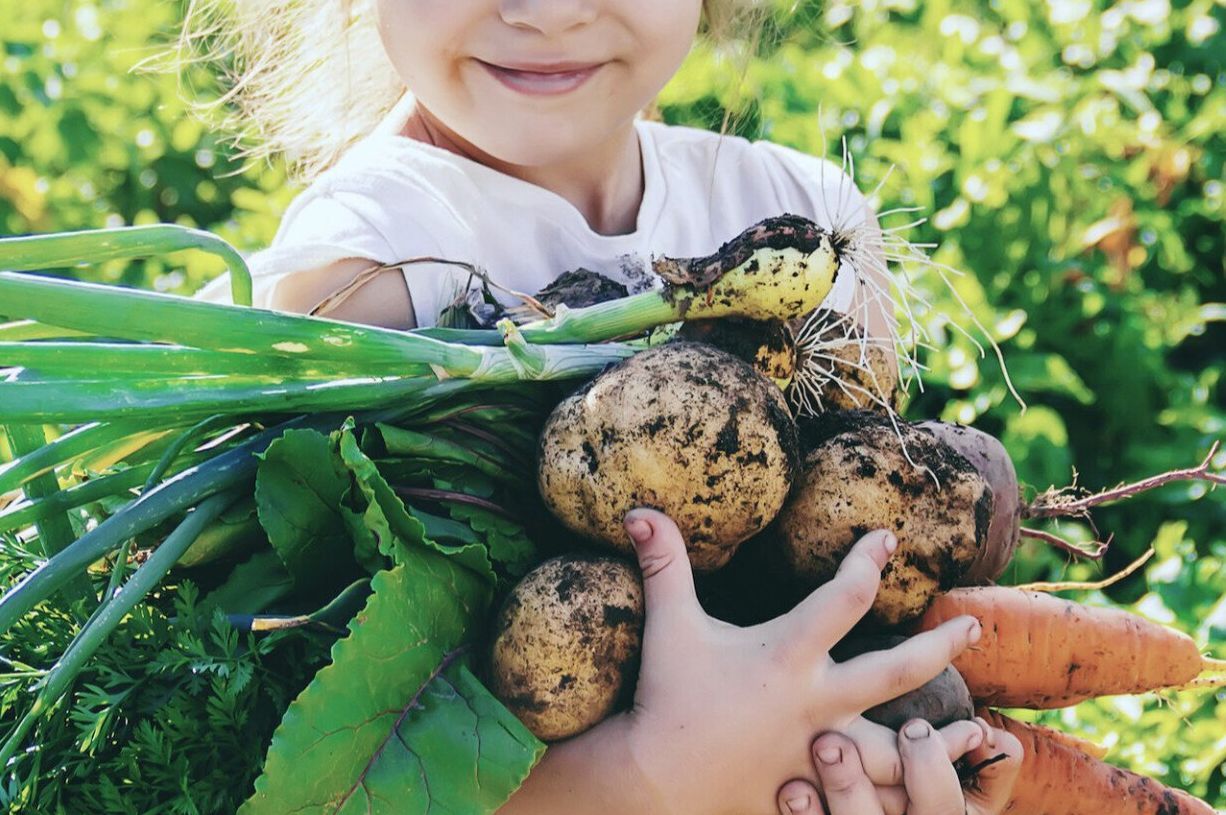 Gartenjahr für Kinder (Samstags)