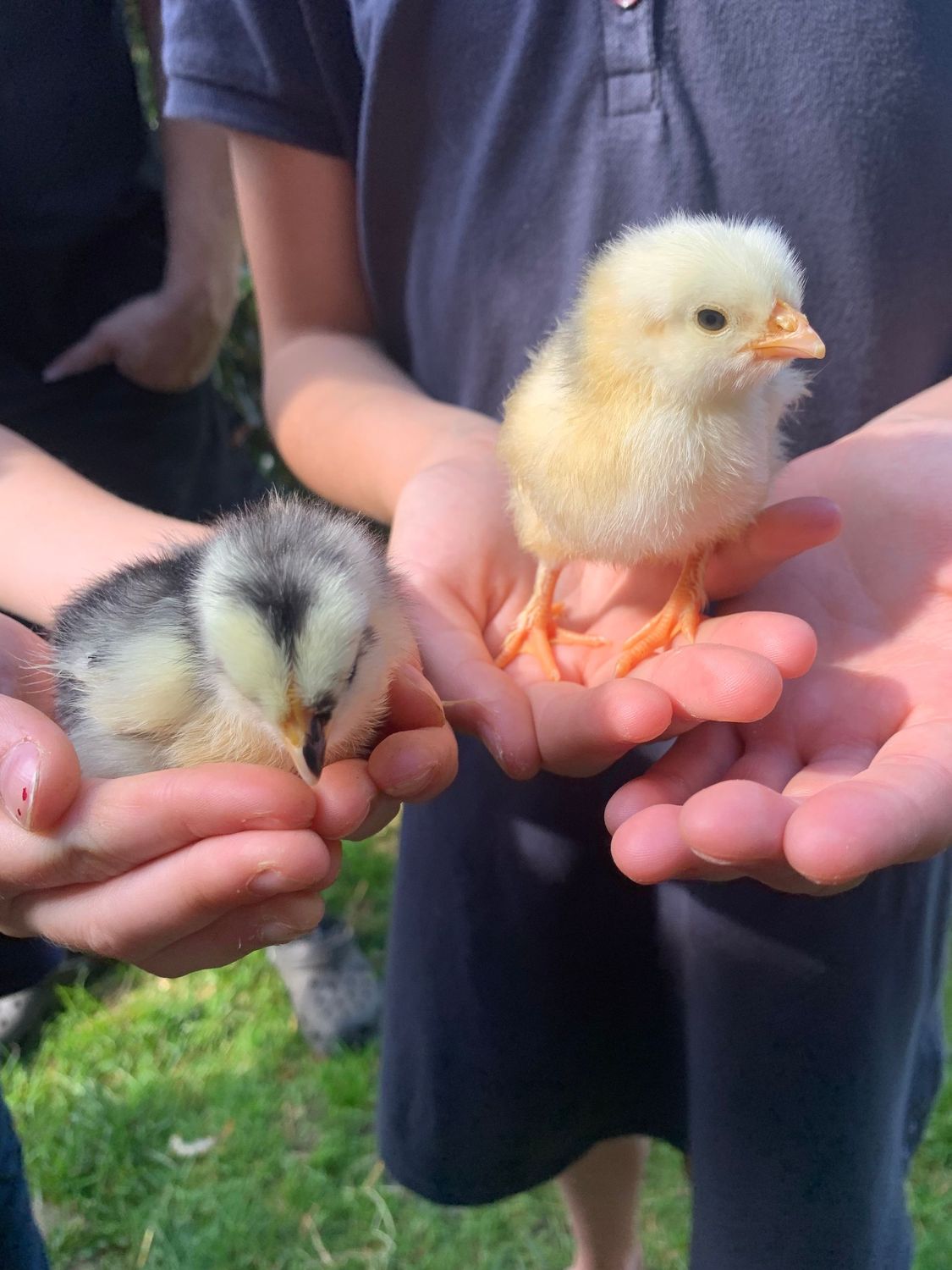 Ferienfreizeit Ostern (Erste Woche) Ferienfreizeit Ostern (Erste Woche)